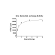 Kras G12A Nucleotide Exchange Assay Kit